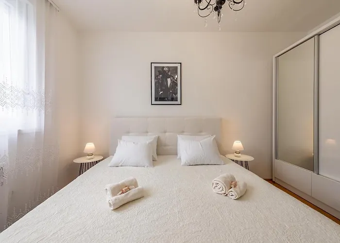 Designer * 자다르